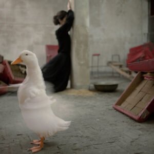 Performance Partir, São Paulo, Brasil