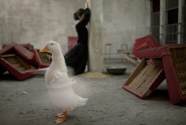 Video Performance Partir